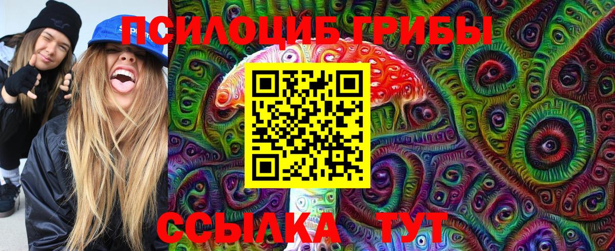 Фролово  Псилоцибиновые грибы мицелий  Вход с VPN  Псилоцибиновые грибы MAGIC MUSHROOMS 