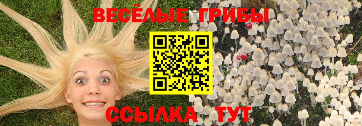 Галлюциногенные грибы ЛСД Фролово